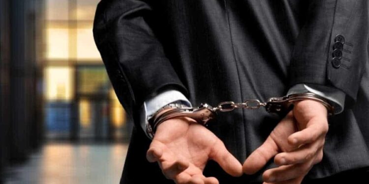 Créditos: Shutterstock