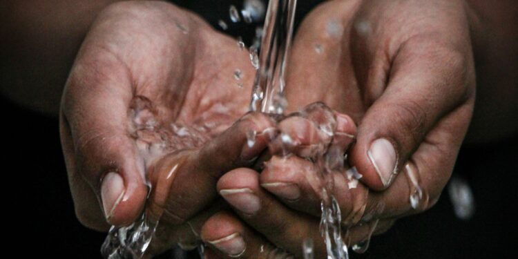 Créditos: mrjn Photography/Unsplash