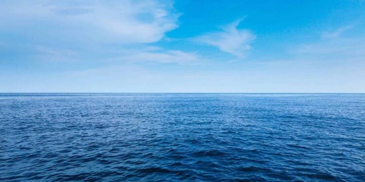 Créditos: Shutterstock