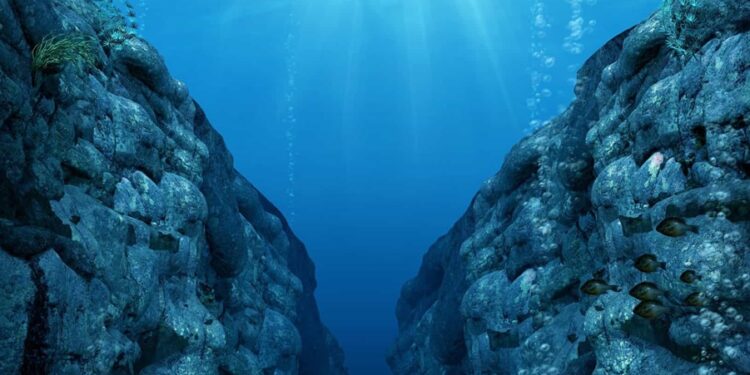 Créditos: Shutterstock