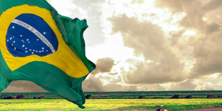 Créditos: Shutterstock