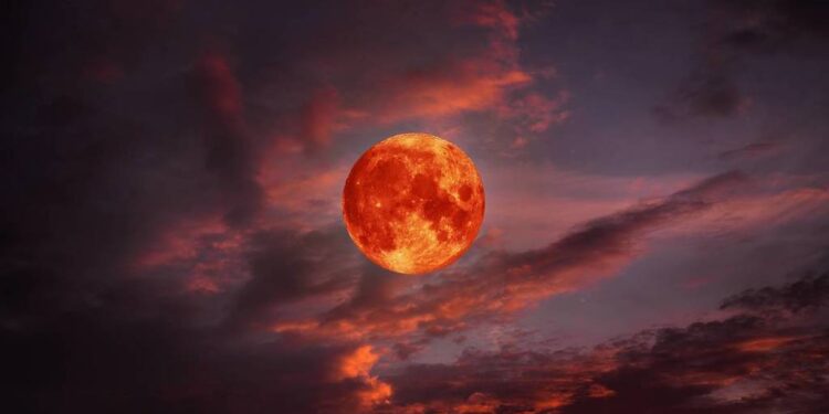 Créditos: Shutterstock