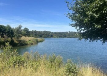 Créditos: Shutterstock