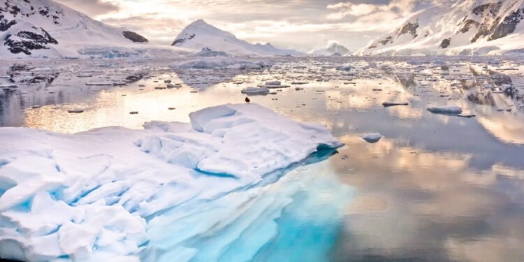 Créditos: Shutterstock