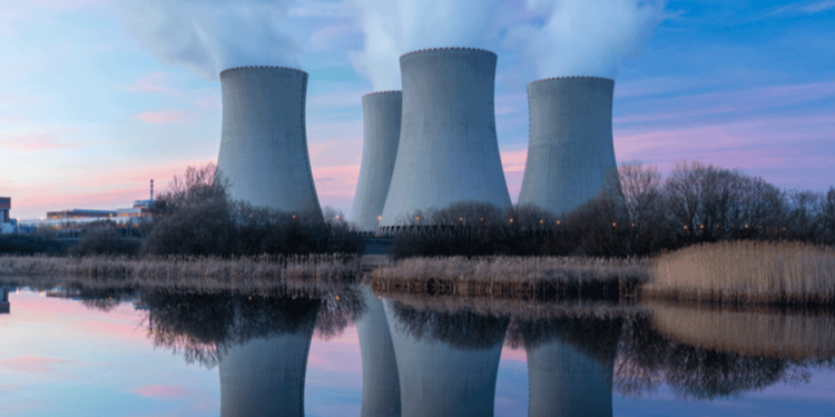 Créditos: Shutterstock