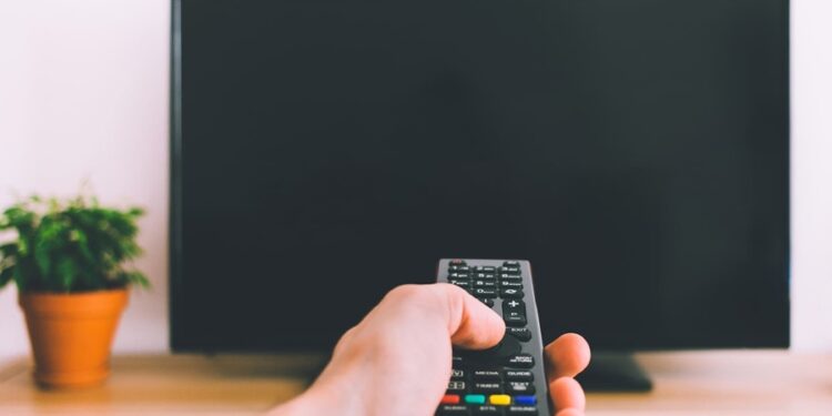 Créditos: Shutterstock