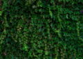 Créditos: Freepik/wirestock