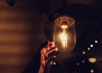 Créditos: Freepik