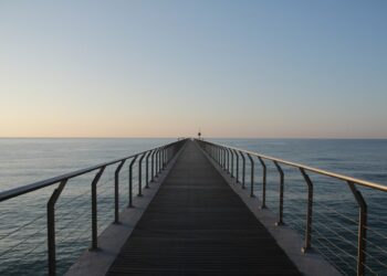 Créditos: Freepik