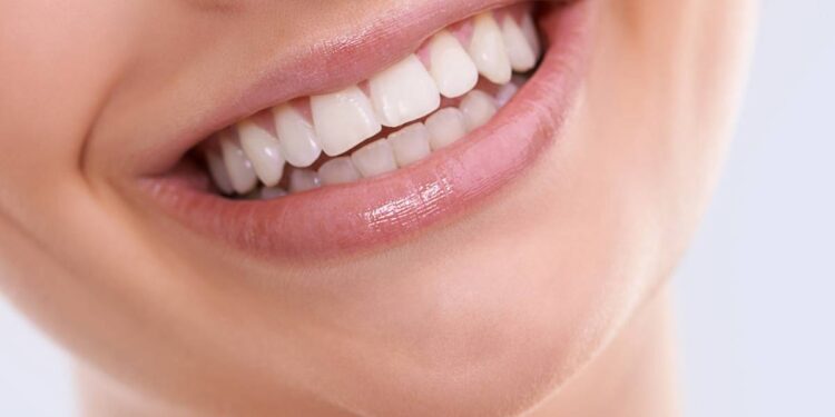 Créditos: Shutterstock