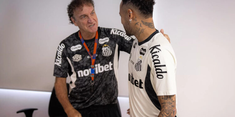 Créditos: Raul Baretta/Santos FC