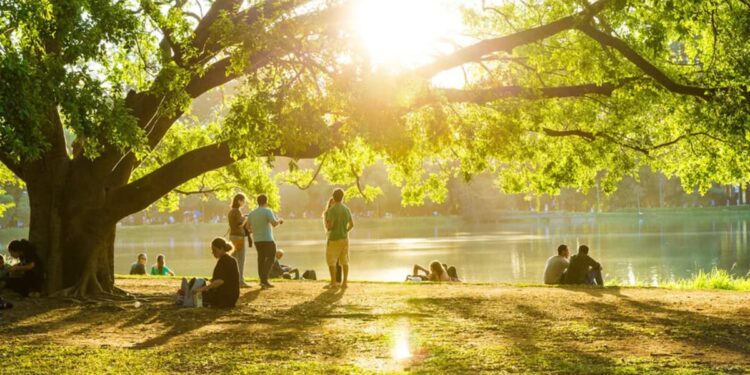 Créditos: Shutterstock