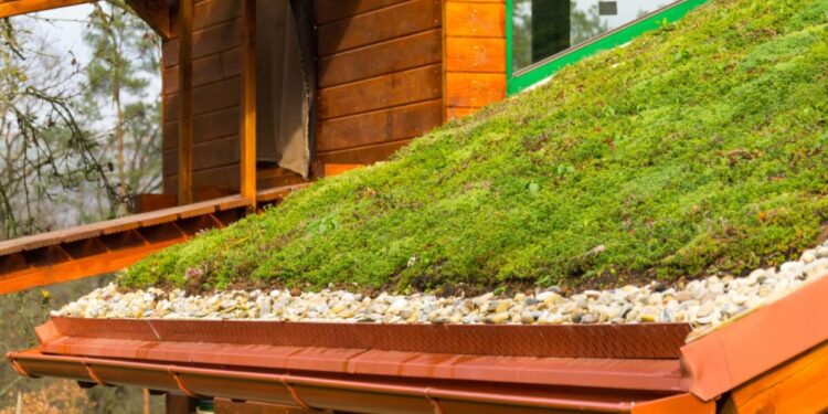 Créditos: Shutterstock