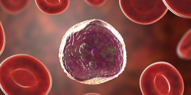 Créditos: Shutterstock