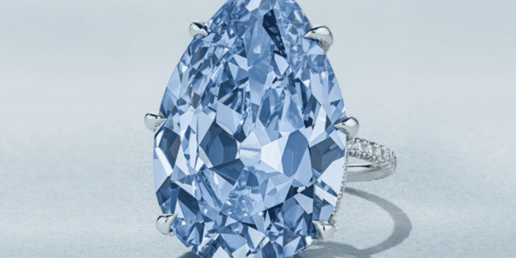 Créditos: Shutterstock