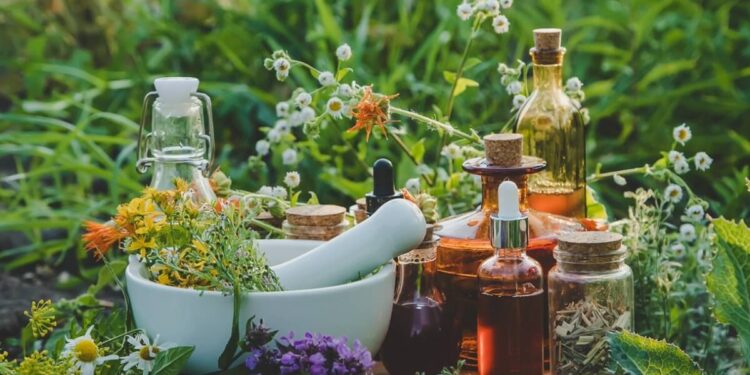 Créditos: Shutterstock