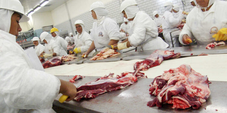 Créditos: Shutterstock