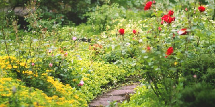 Créditos: Unplash/morgane_lb