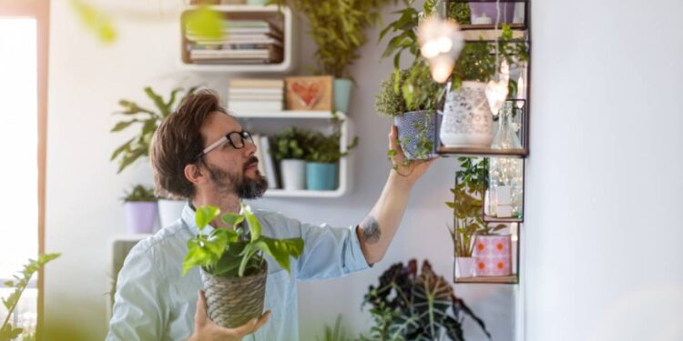 Créditos: Shutterstock