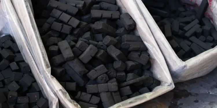 Créditos: Shutterstock