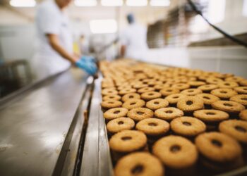 biscoitos