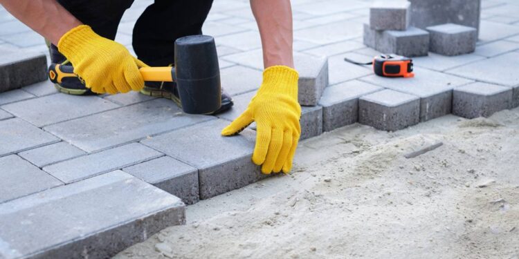 Créditos: Shutterstock