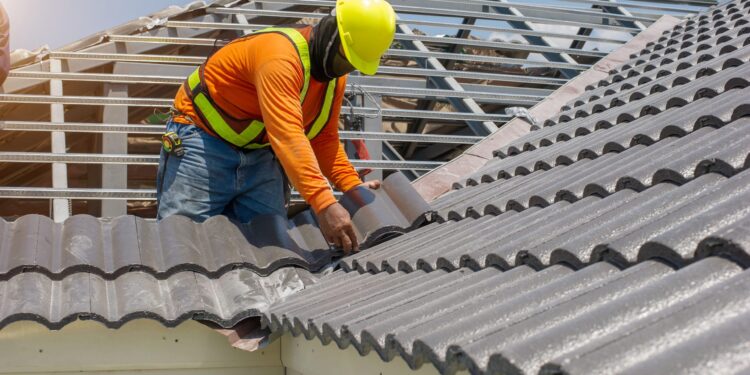 Créditos: Shutterstock