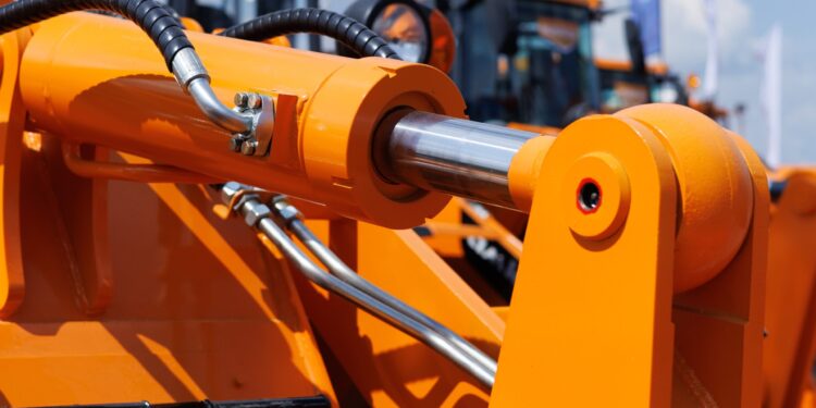 Créditos: Shutterstock