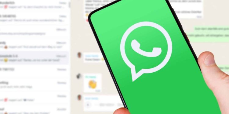 Créditos: Shutterstock