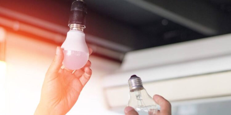 Créditos: Shutterstock