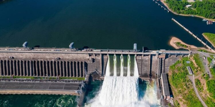 Créditos: Shutterstock