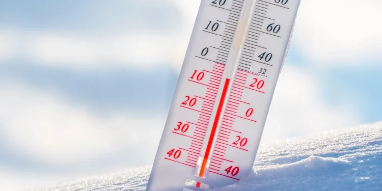 Créditos: Shutterstock