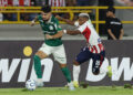Créditos: Cesar Greco/Palmeiras