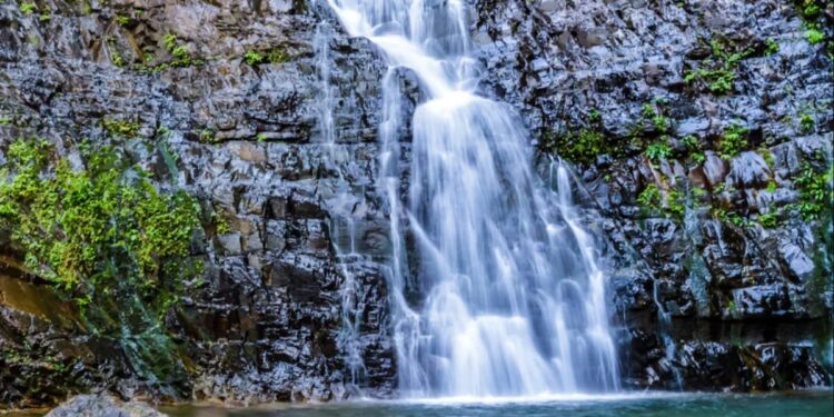 Créditos: Freepik