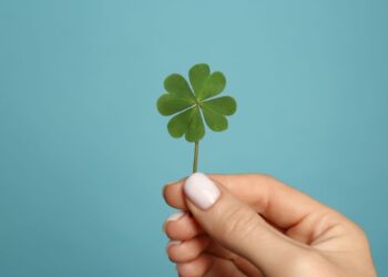 Créditos: Shutterstock