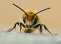 Créditos: Shutterstock