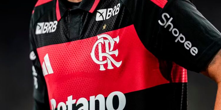 Créditos: Gilvan de Souza/Flamengo