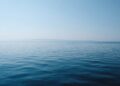 Créditos: Thomas Vimare / Unsplash
